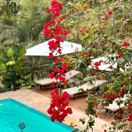 Mediterraneo Suites Puerto Iguazú Buitenkant foto
